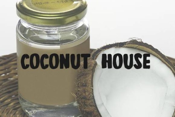 Coconut House: A Modern Display Typeface for Web Design