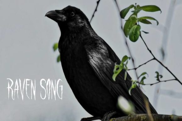Raven Song: The Edgy Typeface for Bold Web Design
