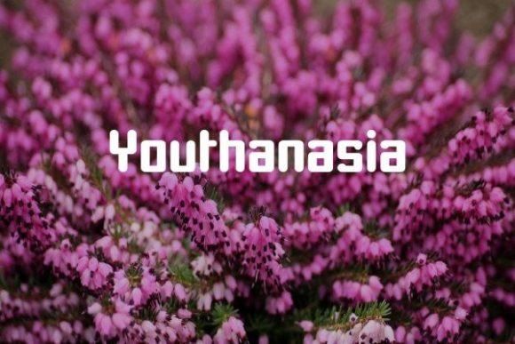 Youthanasia: A Bold Display Font for Editorial Elegance